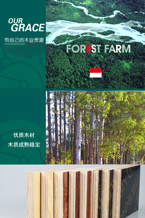 廣西建筑模板_建筑模板廠家_柳州建筑模板_柳州建筑模板廠家_柳州市鑫晶木業有限公司 廣西建筑模板_建筑模板廠家_柳州建筑模板_柳州建筑模板廠家_柳州市鑫晶木業有限公司